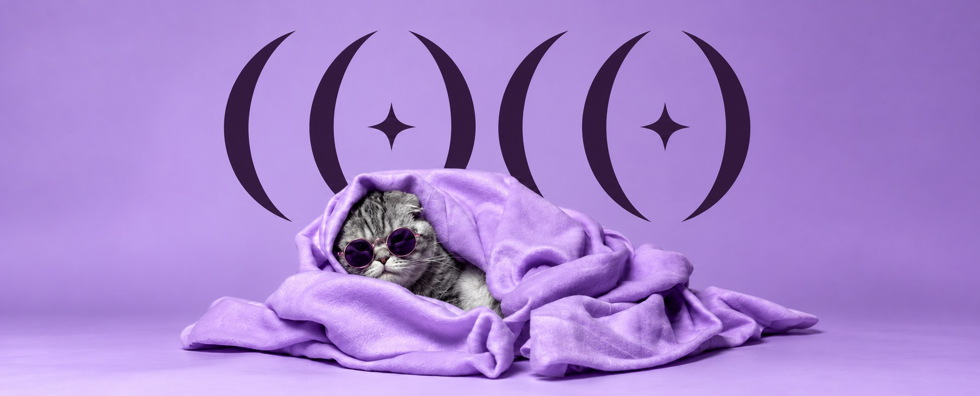 A grey cat in round purple sunglasses, wrapped in a lavender blanket under the COCO mark