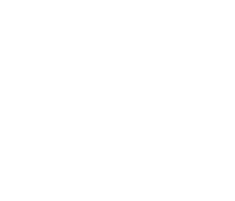 ADSOLUTE logo