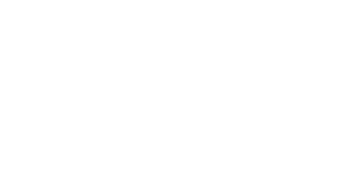 COCO e-store logo