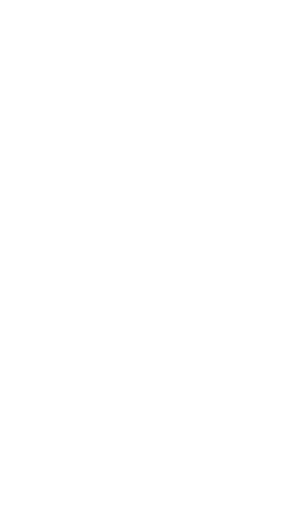 Sameh Al-Shemy logo