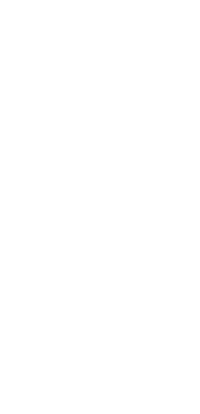 FEGO