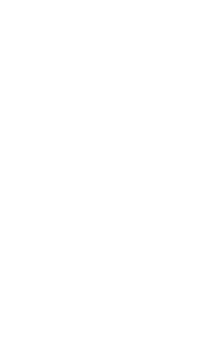 Sameh Al-Shemy